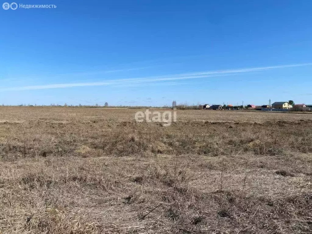 Участок в Тюменский район, садовое некоммерческое товарищество ... - Фото 1