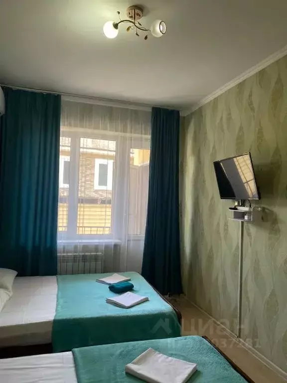 Комната Краснодарский край, Сочи ул. Енисейская, 6/13 - Фото 1