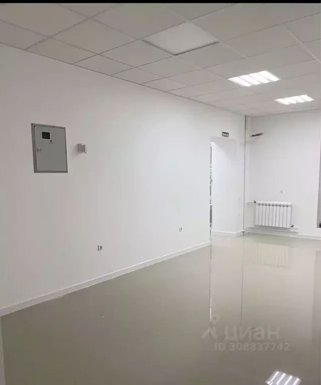 Торговая площадь в Ростовская область, Ростов-на-Дону просп. Михаила ... - Фото 0