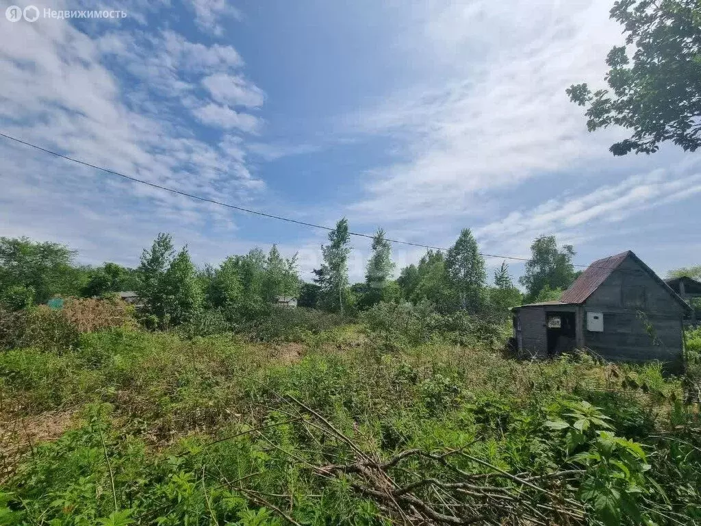 Участок в Хабаровский район, садовое товарищество Судостроитель (5.5 ... - Фото 1