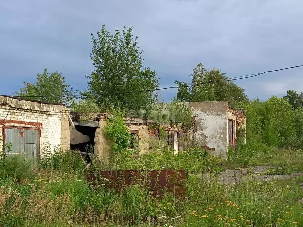 Производственное помещение в Тюменская область, Ишимский район, с. ... - Фото 1