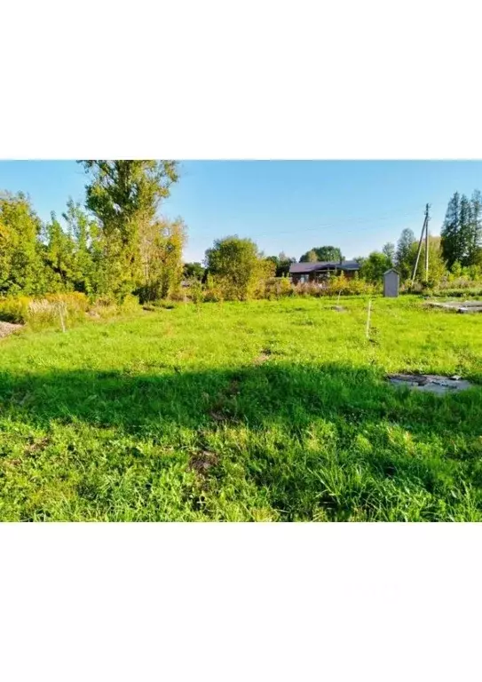 Участок в Калужская область, Перемышльский муниципальный округ, ... - Фото 0