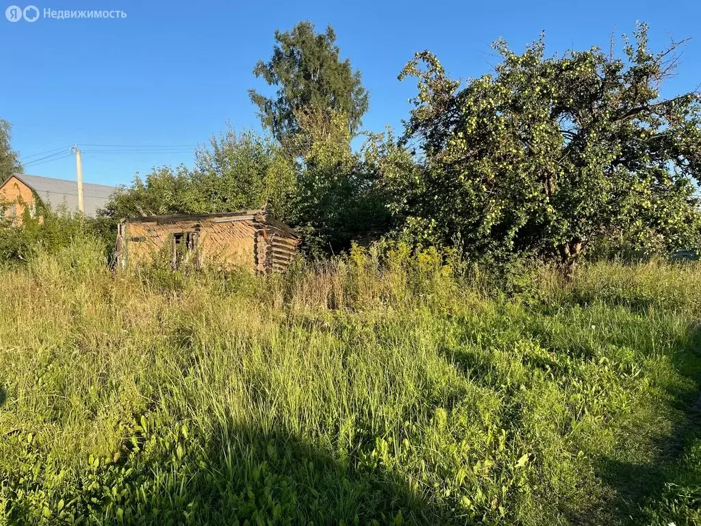 Участок в Пензенская область, рабочий посёлок Башмаково, Полевая ... - Фото 1