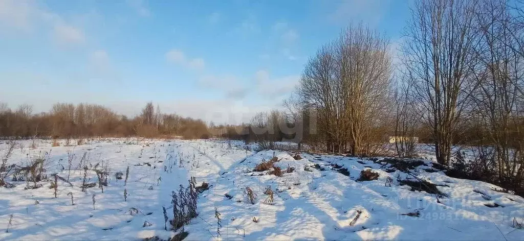 Участок в Вологодская область, Шекснинский муниципальный округ, д. ... - Фото 1