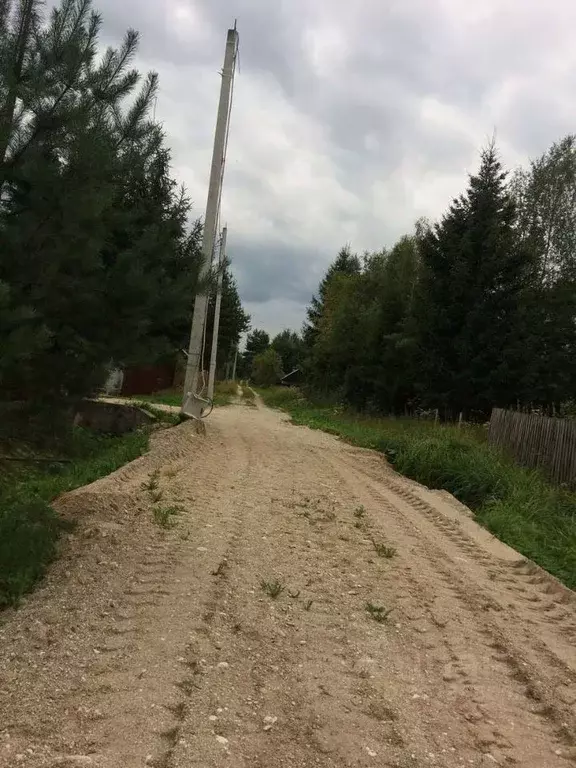 Участок в Новгородская область, Новгородский район, Савинское с/пос, ... - Фото 1