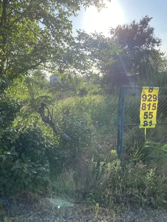 Участок в Ростовская область, Азовский район, с. Самарское Садовый ... - Фото 2