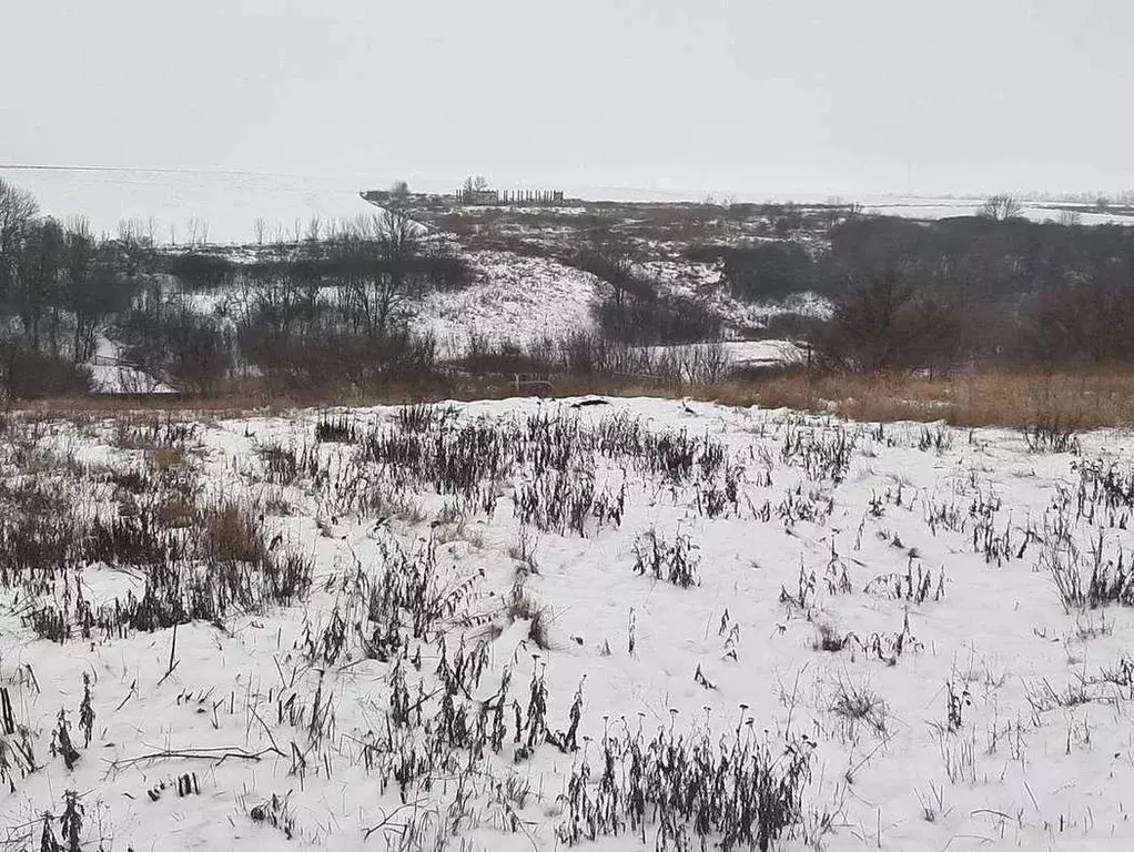 Участок в Белгородская область, Белгородский район, Крутологское ... - Фото 1