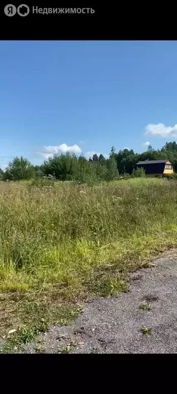 Участок в Ломоносовский район, Лопухинское сельское поселение, деревня ... - Фото 1