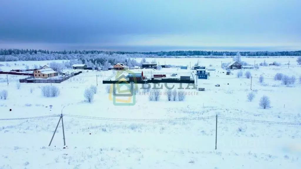 Участок в Ленинградская область, Ломоносовский район, Гостилицкое ... - Фото 2