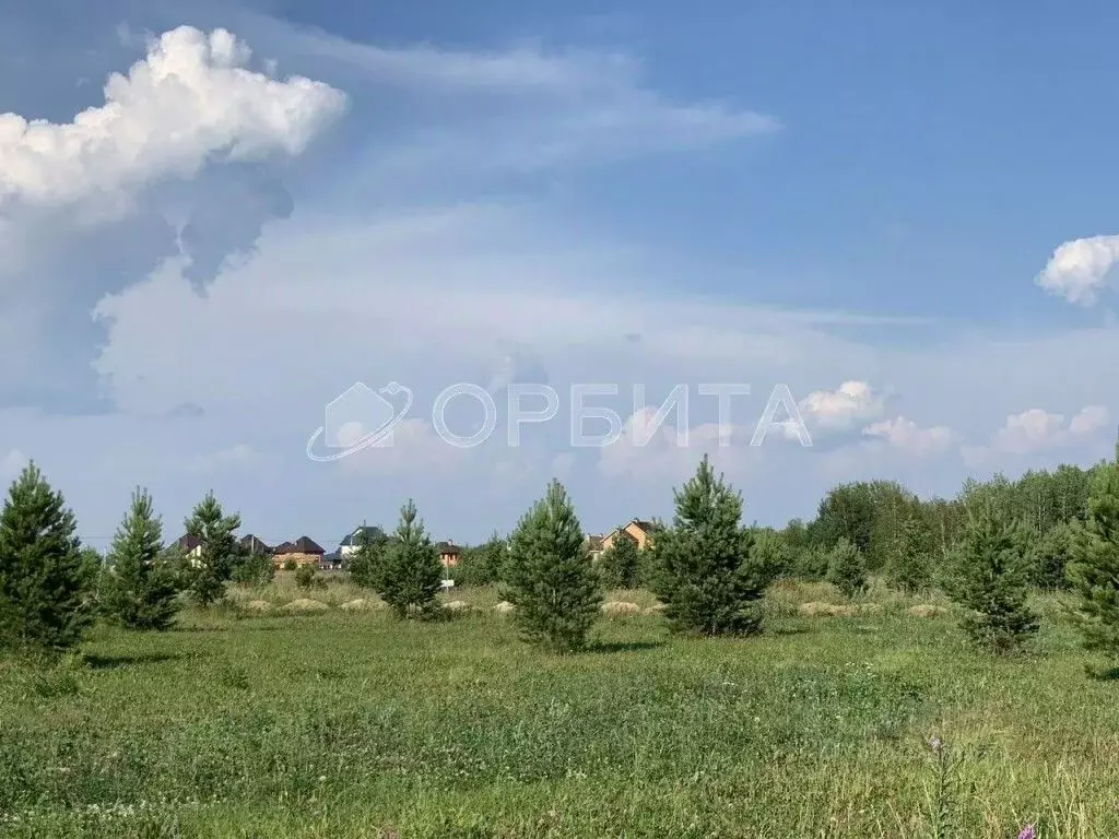 Участок в Тюменская область, Тюменский муниципальный округ, с. ... - Фото 0