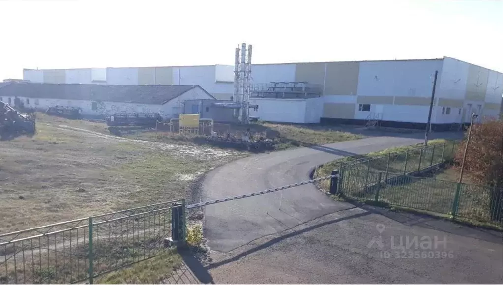 Производственное помещение в Тамбовская область, Первомайский ... - Фото 1