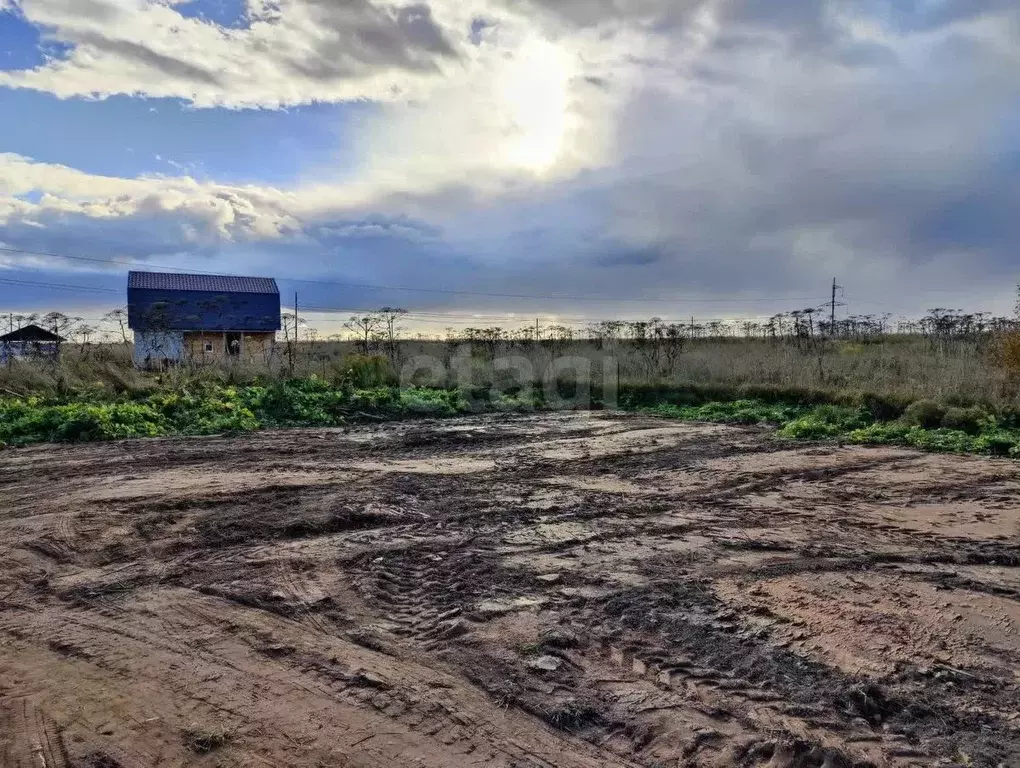 Участок в Псковская область, Псковский район, Завеличенская волость, ... - Фото 1