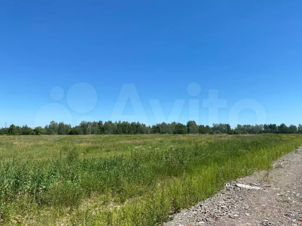 Участок 7 сот. (СНТ, ДНП) - Фото 1