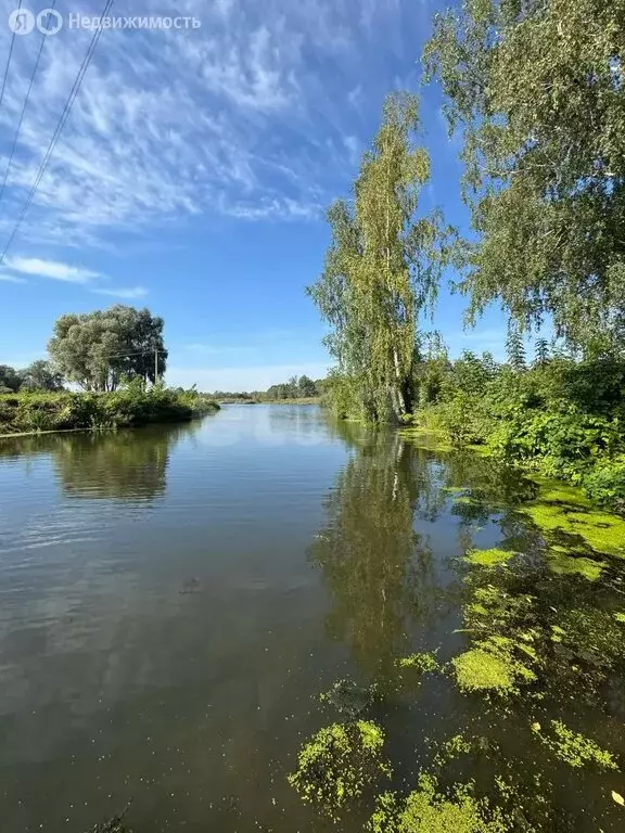 Участок в Кокшайск, Заводская улица (6 м) - Фото 2