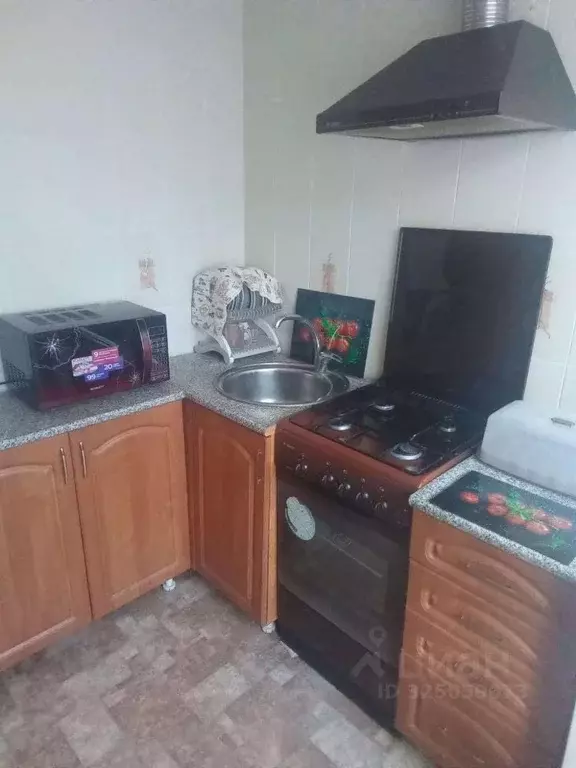 1-к кв. Брянская область, Брянск ул. Брянского Фронта, 14 (29.0 м) - Фото 1