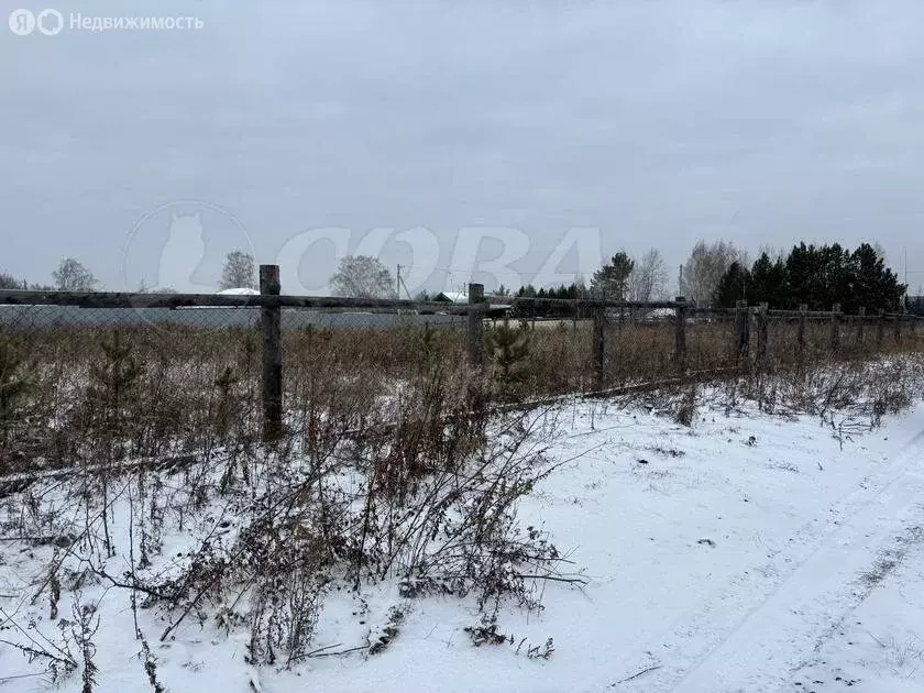 Участок в Тюменский район, деревня Насекина (9 м) - Фото 1