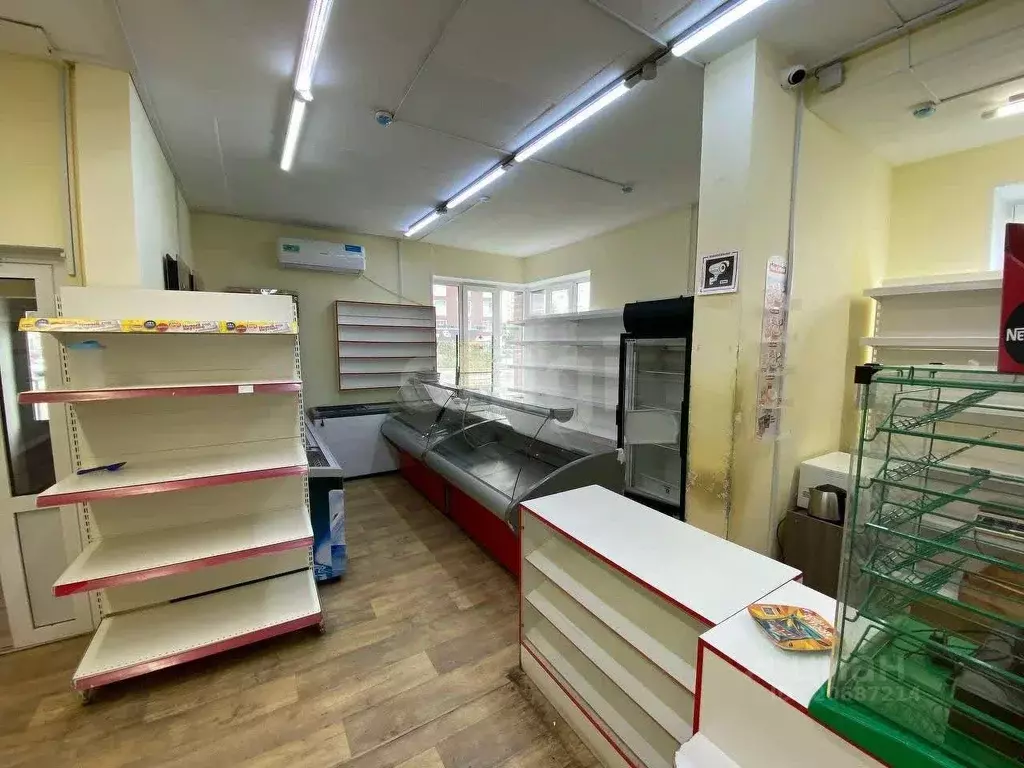 Торговая площадь в Удмуртия, Ижевск ул. Цветочная, 7 (68 м) - Фото 1