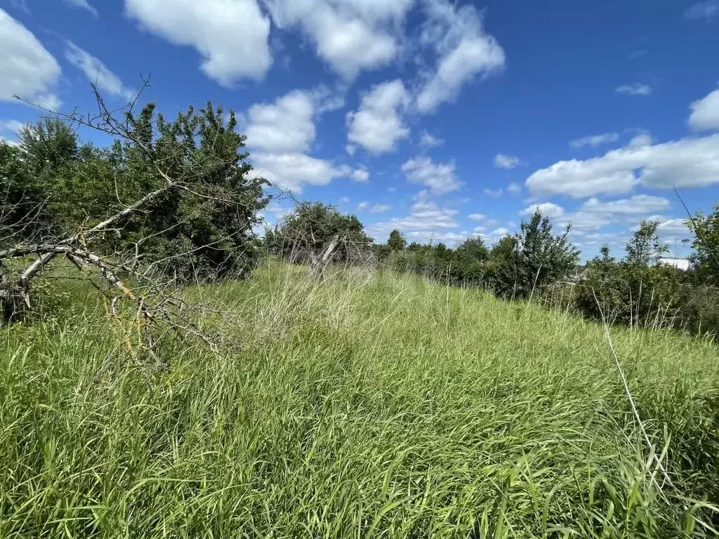 Дом в Калужская область, с. Перемышль ул. Республиканская, 29А (41 м) - Фото 1