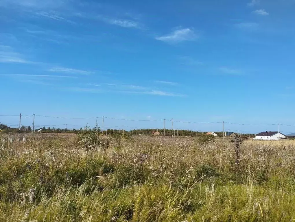 Участок в Костромская область, Кострома Первый кп,  (8.3 сот.) - Фото 2