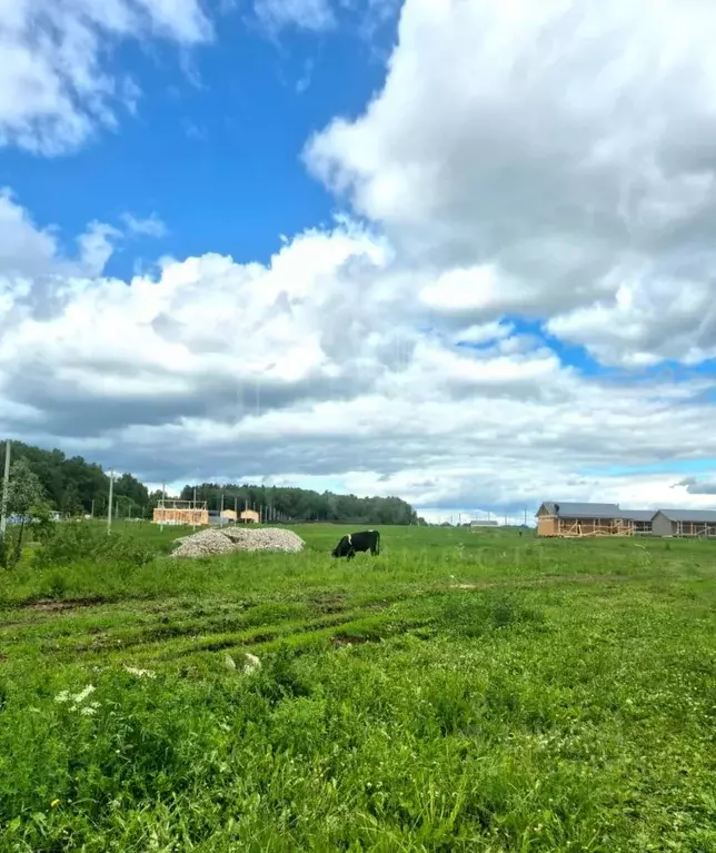 Участок в Московская область, Сергиево-Посадский городской округ, д. ... - Фото 0