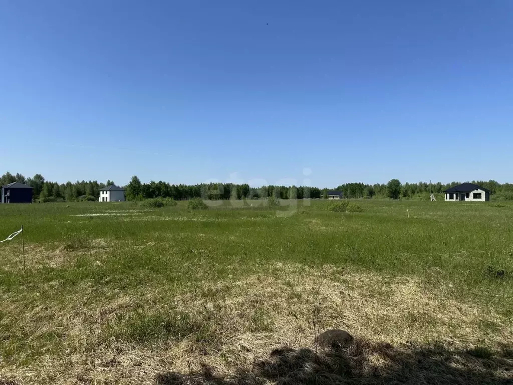 Участок в Тюменская область, Тюмень  (6.6 сот.) - Фото 1