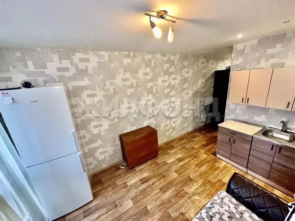 Студия Новосибирская область, Новосибирск ул. Виктора Уса, 15 (19.2 м) - Фото 1