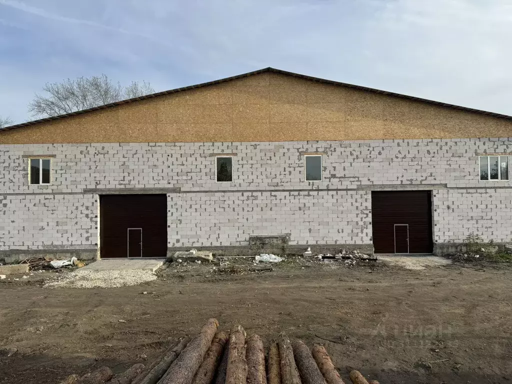 Производственное помещение в Челябинская область, Куса г. Кусинское ... - Фото 1