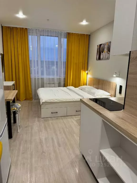 Студия Новосибирская область, Новосибирск ул. Кирова, 113/2 (26.0 м) - Фото 1