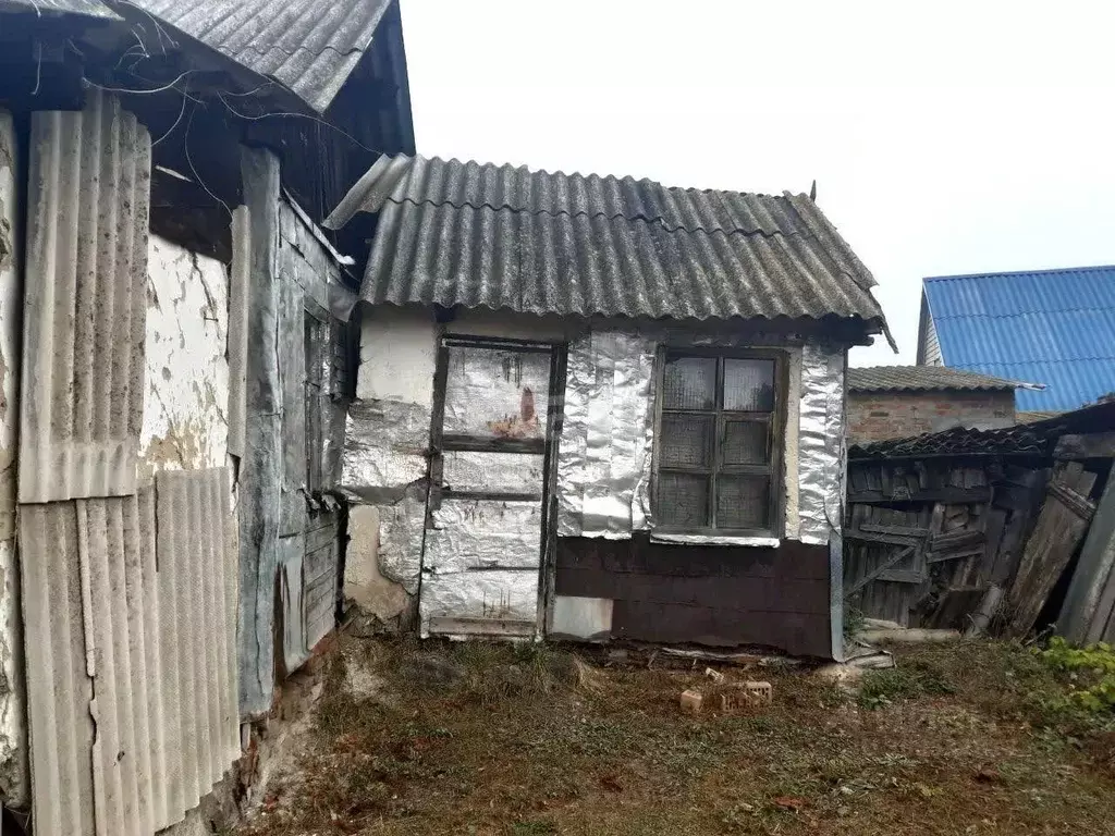 Дом в Белгородская область, Новооскольский городской округ, пос. ... - Фото 1