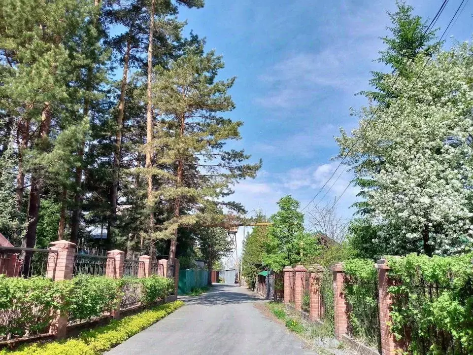 Участок в Новосибирская область, Бердск ул. 2-я Морская, 50 (8.5 сот.) - Фото 2