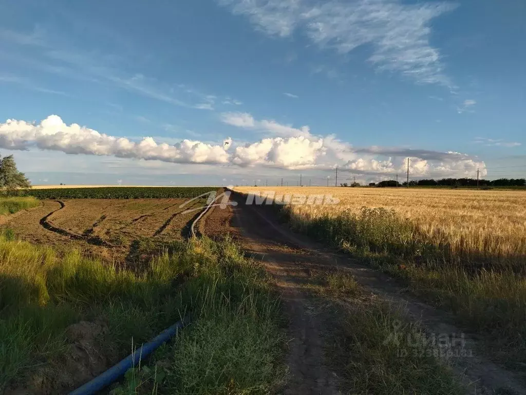 Участок в Крым, Красноперекопский район, Вишневское с/пос, с. Уткино ... - Фото 1
