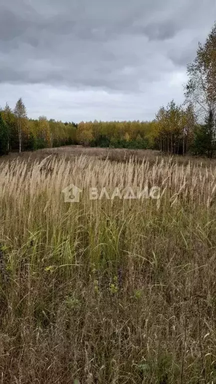 Участок в Нижегородская область, Павловский район, д. Самойловка  ... - Фото 0