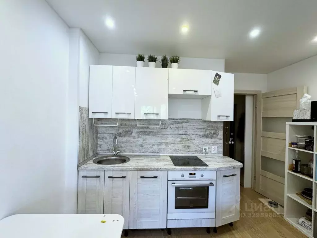 Студия Санкт-Петербург просп. Энергетиков, 11к5 (25.2 м) - Фото 2