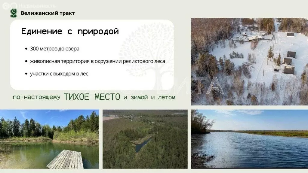 Участок в Тюменская область, Нижнетавдинский муниципальный округ, СНТ ... - Фото 2