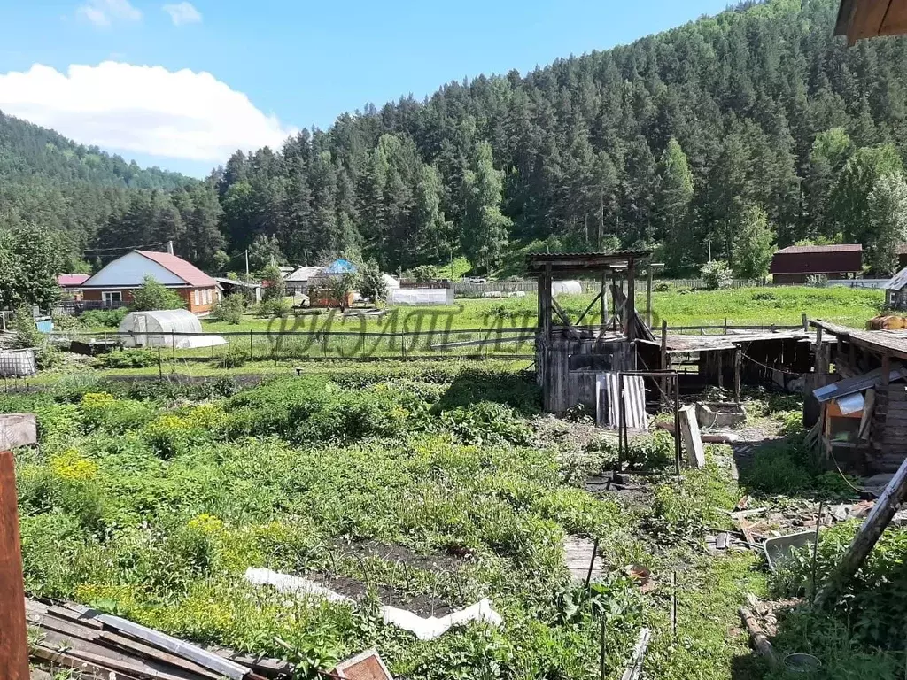 Дом в Алтай, Майминский район, с. Соузга Школьный пер. (60 м) - Фото 0