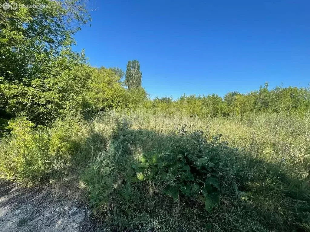 Участок в Денисовка, Салгирная улица (12 м) - Фото 1