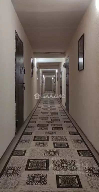 Студия Карелия, Сегежа Лесная ул., 3А (35.5 м) - Фото 1