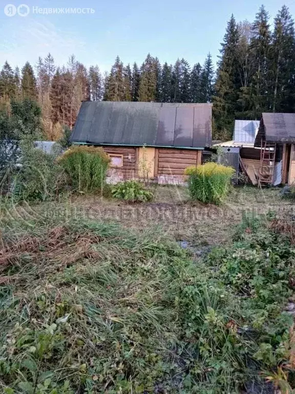 Участок в Выборгский район, Гончаровское сельское поселение, СНТ ... - Фото 0