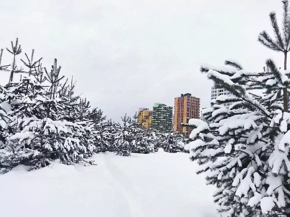 Студия Московская область, Химки городской округ, д. Рузино, ... - Фото 1