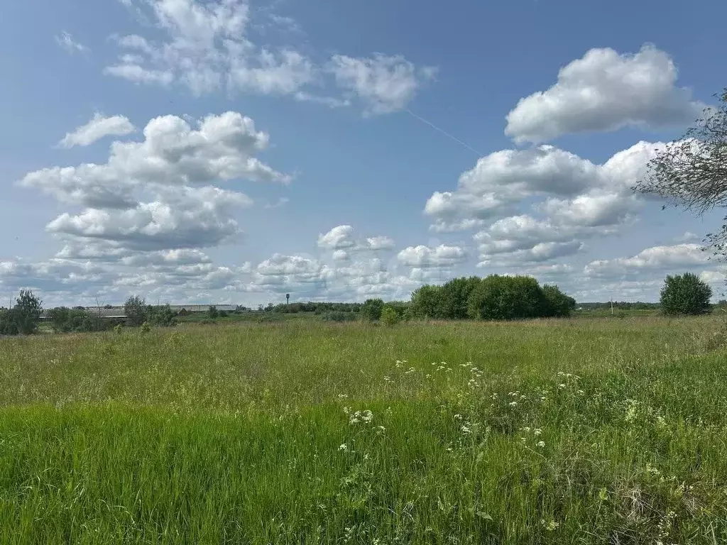 Участок в Тульская область, Заокский район, Демидовское с/пос, с. ... - Фото 1