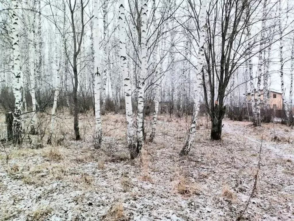 Участок в Миасс, улица Миасских Добровольцев (9.41 м) - Фото 2