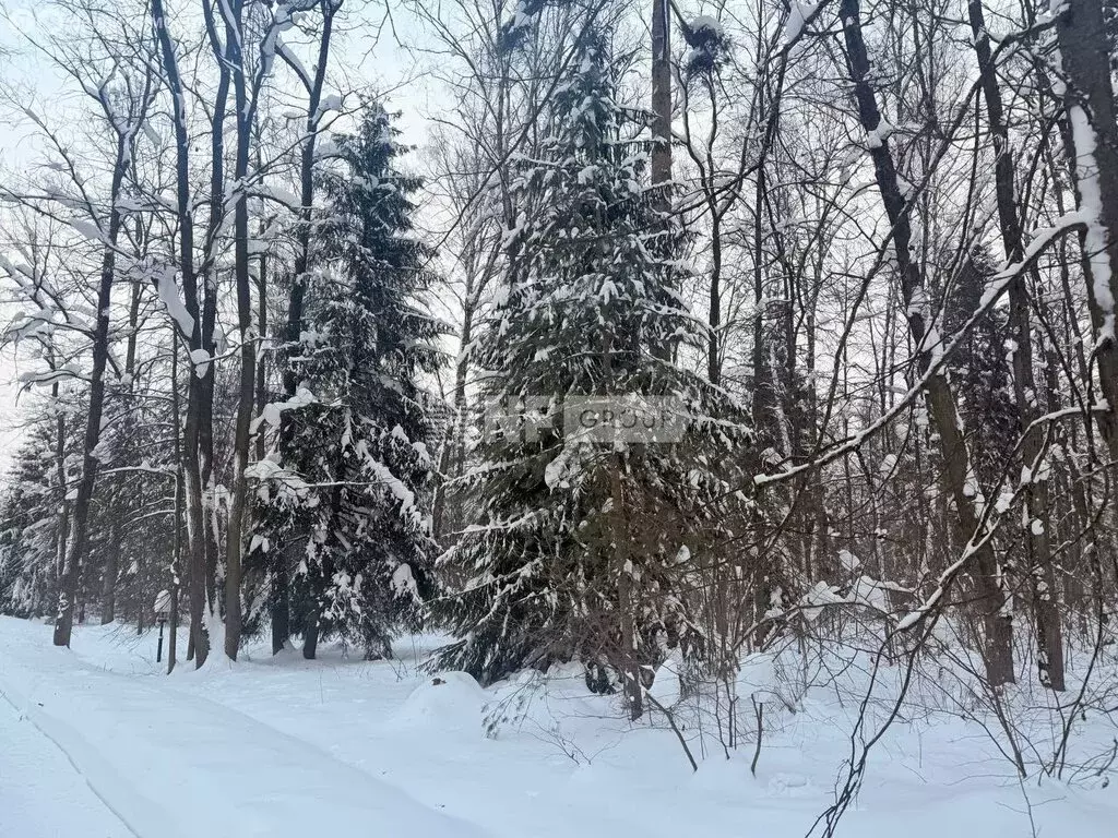 Участок в посёлок Горки-2, ДПК Загорье, 81 (30 м) - Фото 1