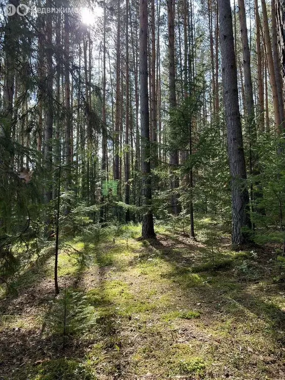 Участок в Красноярский край, городской округ Дивногорск, посёлок ... - Фото 0