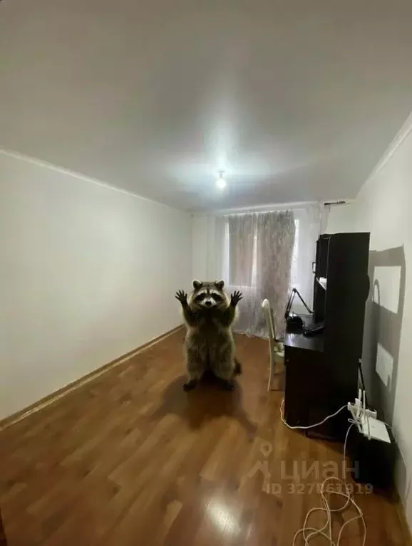 2-к кв. Чеченская республика, Грозный ул. Муслима Г. Гайрбекова, 53 ... - Фото 1