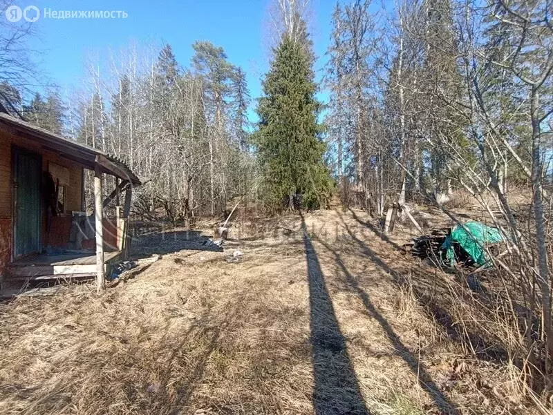 Дом в Выборгский район, Селезнёвское сельское поселение, посёлок при ... - Фото 1