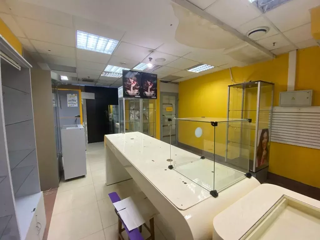 Помещение свободного назначения в Санкт-Петербург просп. Ветеранов, ... - Фото 2