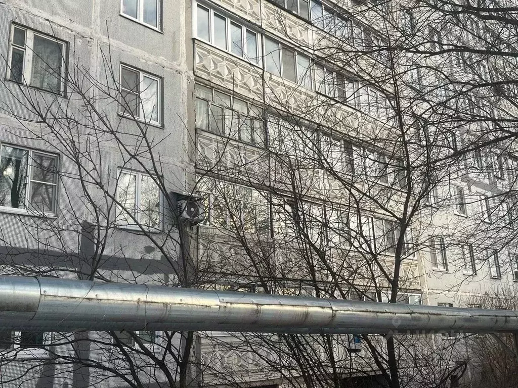 3-к кв. Нижегородская область, Павлово ул. 1-я Строителя, 38 (65.0 м) - Фото 0