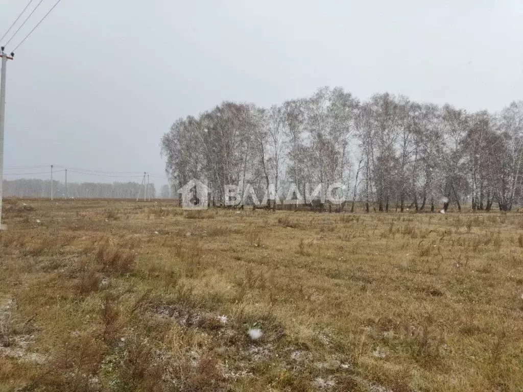 Участок в Новосибирская область, Ордынский район, с. Вагайцево ул. ... - Фото 0