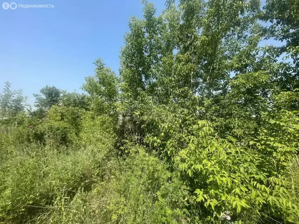 Участок в Бийск, СНТ Металлист-1, Западный переулок (4.53 м) - Фото 2