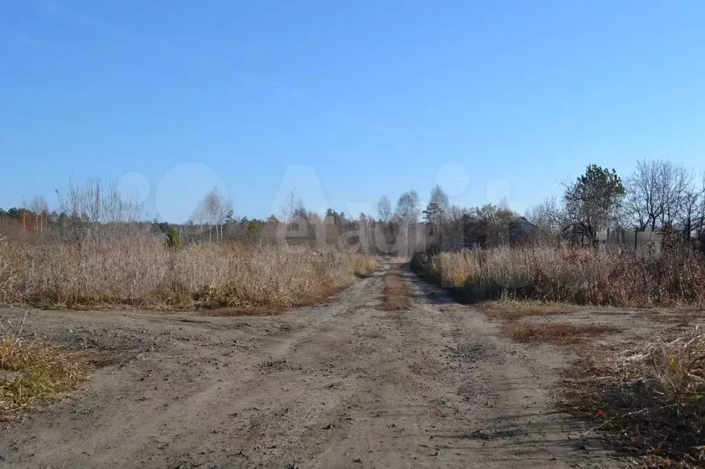 Участок 7 сот. (СНТ, ДНП) - Фото 1